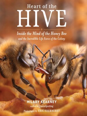 cover image of Heart of the Hive